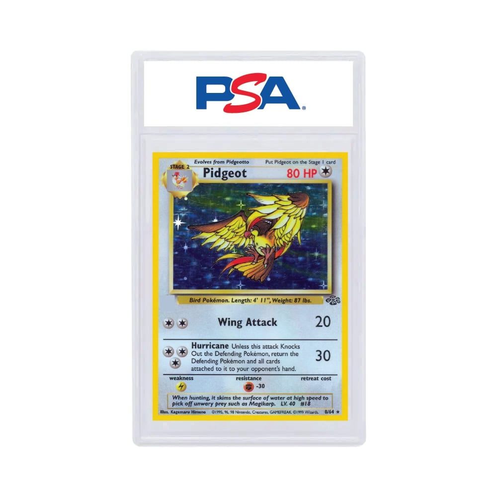 1999 Pokémon Jungle Pidgeot-Holo PSA 5